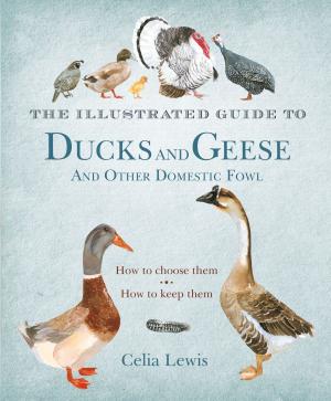 Cover of the book The Illustrated Guide to Ducks and Geese and Other Domestic Fowl by Diana Alarcon, Professor Rob Vos