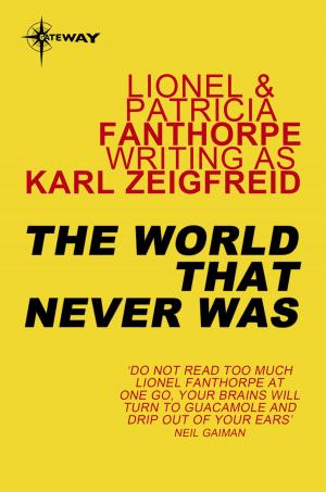 Cover of the book The World That Never Was by J.L. Stephens