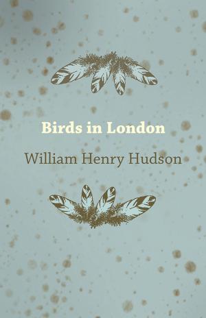 Book cover of Birds in London