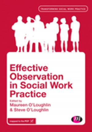 Cover of the book Effective Observation in Social Work Practice by John Sloop Biederman