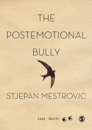 Cover of the book The Postemotional Bully by Susan Ogier