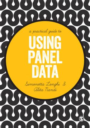 bigCover of the book A Practical Guide to Using Panel Data by 