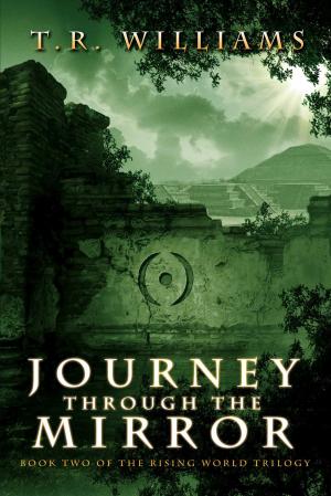 Book cover of Journey Through the Mirror