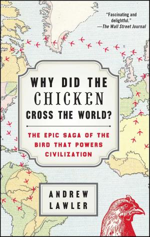 Cover of the book Why Did the Chicken Cross the World? by J. Michael Zenn