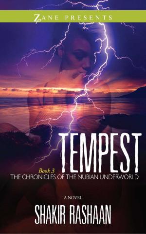 Cover of the book Tempest by Paige Green