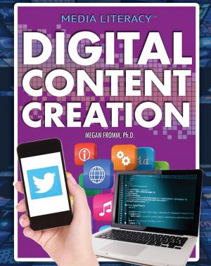 Cover of the book Digital Content Creation by Susan Henneberg