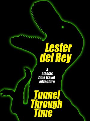 Cover of the book Tunnel Through Time by Joseph J. Millard