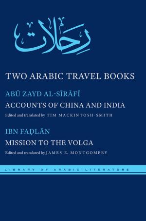Book cover of Two Arabic Travel Books