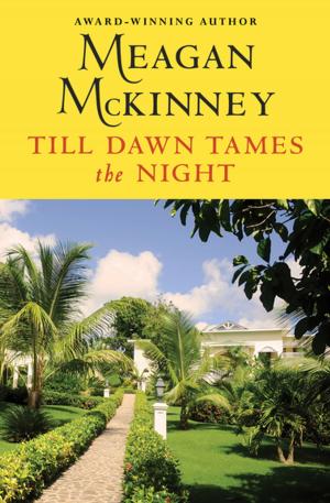 Cover of the book Till Dawn Tames the Night by Barbara Steiner
