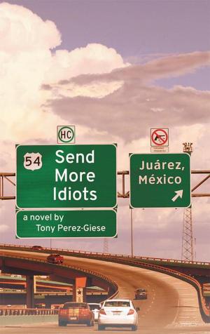 Cover of the book Send More Idiots by Megon Phillips Aesch