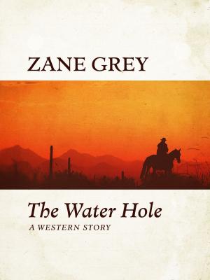 Book cover of The Water Hole
