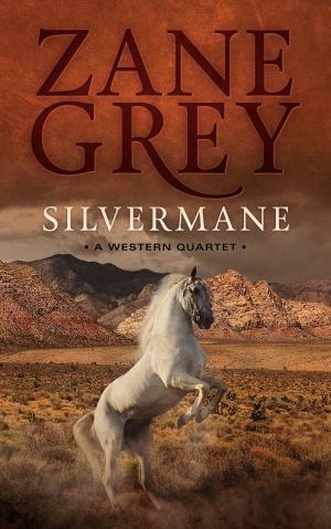 Book cover of Silvermane