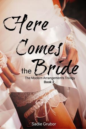 Cover of the book Here Comes the Bride (The Modern Arrangements Trilogy Book 2) by Debra Erfert