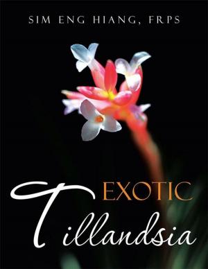 Cover of the book Exotic Tillandsia by Ak Shehu