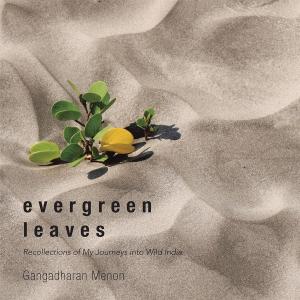 bigCover of the book Evergreen Leaves by 