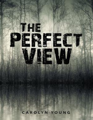 bigCover of the book The Perfect View by 