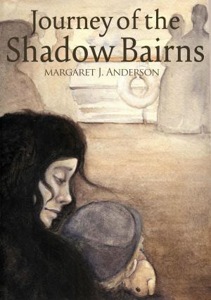 Book cover of The Journey of the Shadow Bairns