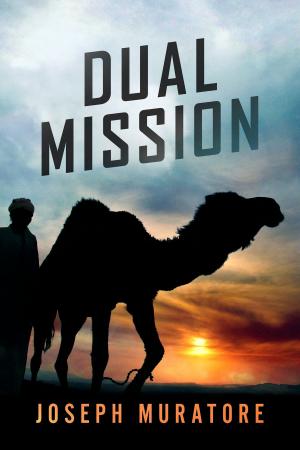 Cover of the book Dual Mission by Mira Noire
