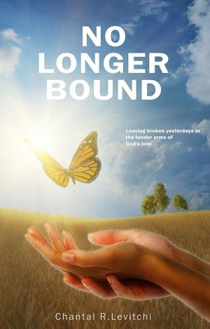 Cover of the book No Longer Bound by Blake Hamilton