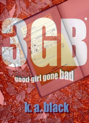 Cover of the book 3GB by Faith I. Adede