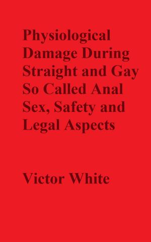 Cover of the book Physiological Damage During So Called Anal Sex, Safety and Legal Aspects by Todie West