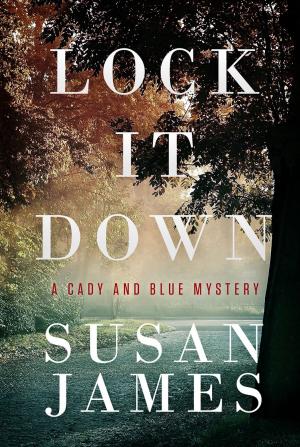 Cover of the book Lock it Down by Daniel Broman