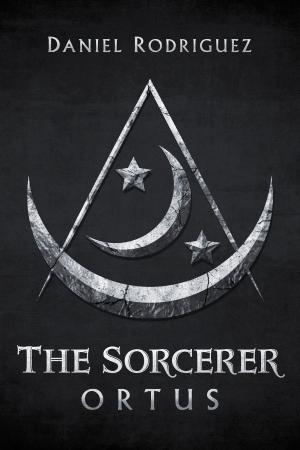 Cover of the book The Sorcerer by Paula M. Ezop