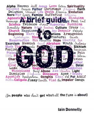 Cover of the book A Brief Guide to God (for people who don't get what all the fuss is about) by Bill Krapfel