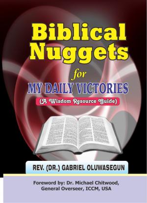 Cover of the book Biblical Nuggets For My Daily Victories by Benjamin Smith