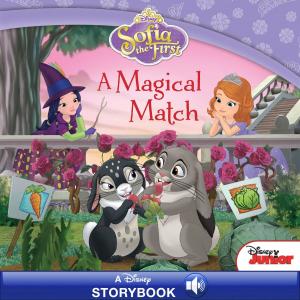 Cover of the book Sofia the First: A Magical Match by Disney Book Group, Calliope Glass