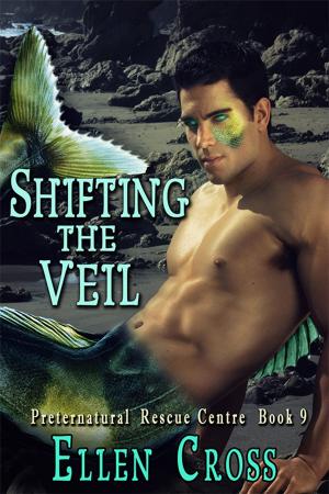 Cover of the book Shifting the Veil by Cara McKinnon