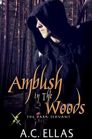 bigCover of the book Ambush in the Woods by 