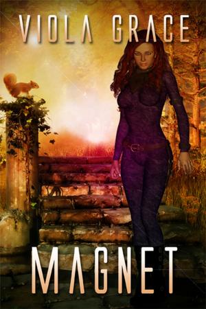 Cover of the book Magnet by Derek Adams