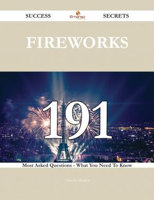 Book cover of Fireworks 191 Success Secrets - 191 Most Asked Questions On Fireworks - What You Need To Know