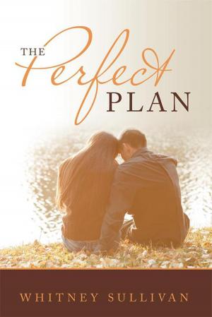 Cover of the book The Perfect Plan by Gerald Kastigar