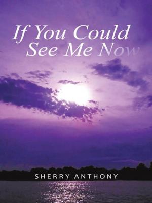 Cover of the book If You Could See Me Now by Christopher Morgan