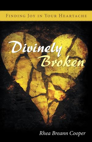 Cover of the book Divinely Broken by R. J. Plugge