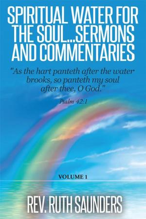 Book cover of Spiritual Water for the Soul...Sermons and Commentaries