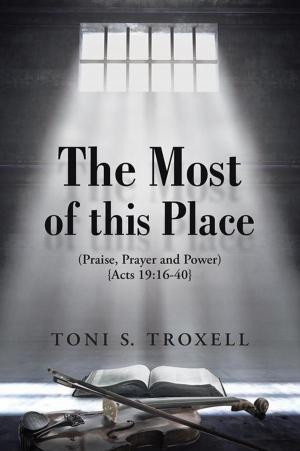 Cover of the book The Most of This Place by Jan Owens