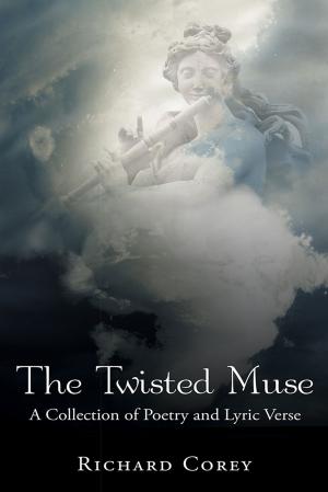 Cover of the book The Twisted Muse by Amy Zhang