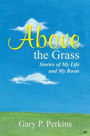 Cover of the book Above the Grass by Jeff Pinney