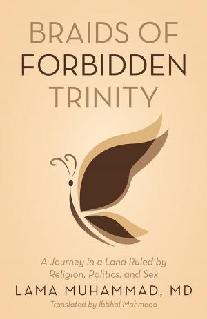 Book cover of Braids of Forbidden Trinity