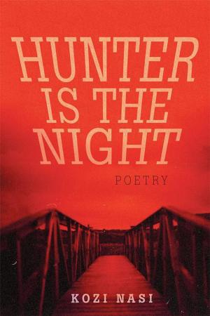 Cover of the book Hunter Is the Night by DJ Shy, Michael Robert Hartman