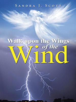 Cover of the book Walk Upon the Wings of the Wind by Bonnie Raney O'Brien