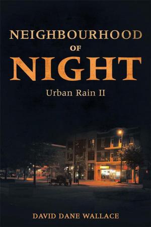 Cover of the book Neighbourhood of Night by Gerard Shirar