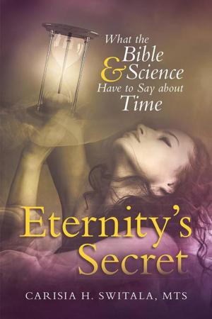 Cover of the book Eternity’S Secret by Dennis J. Stevens PhD
