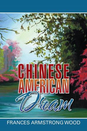Book cover of Chinese American Dream