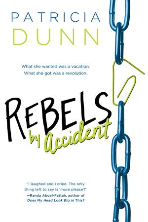 Cover of the book Rebels by Accident by Mark Warda