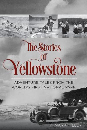 Cover of the book The Stories of Yellowstone by Donna Gray