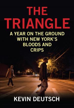 Cover of the book The Triangle by Jason Roberts, Stacey Colino